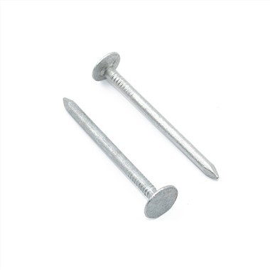Ekstra Large Head Clout Nail